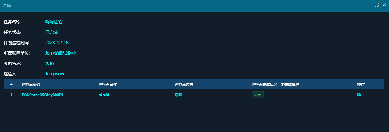巡检任务详情